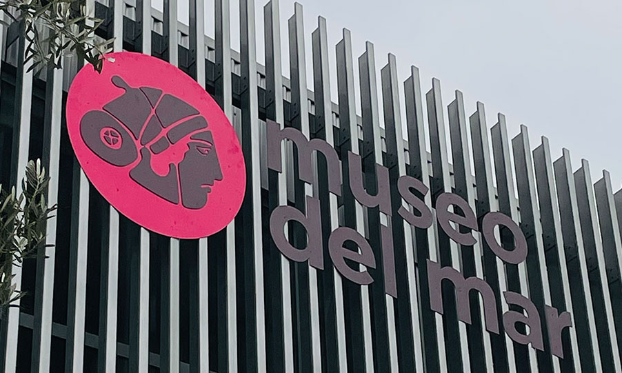 EL MUSEO DEL MAR RECIBE UNA SUBVENCIÓN PARA EL PROYECTO TÉCNICO DE LOS NUEVOS ALMACENES VISITABLES