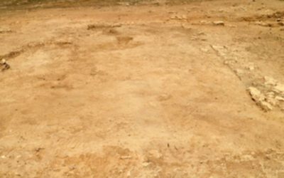 Memoria Campaña 2017 Actuación arqueológica en la factoría de salazones piscícolas de La Picola (Portus Ilicitanus)