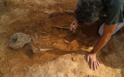 Memoria Campaña 2018 actuación arqueológica en la factoría de salazones piscícolas de La Picola (Portus Ilicitanus)