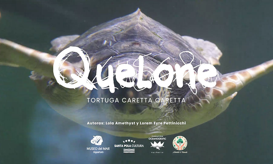 QUELONE YA TIENE SU CANCIÓN